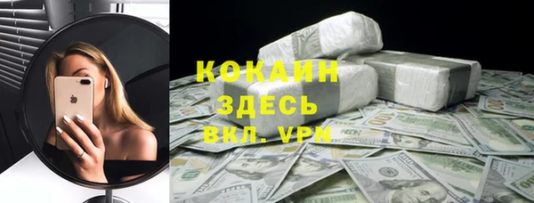 стаф Белокуриха