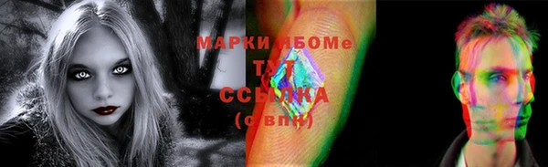 прущие грибы Балахна