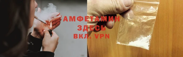 прущие грибы Балахна